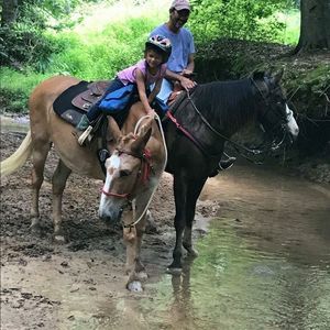 Meet your Posher, Eddie